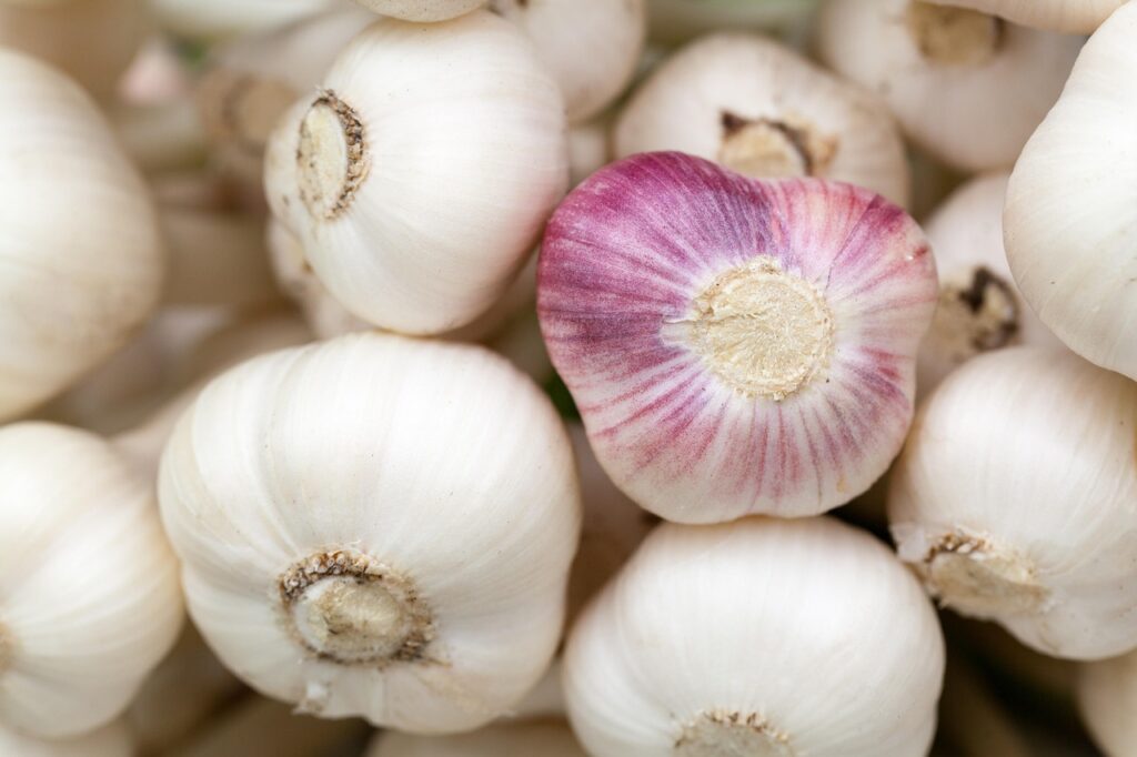 Garlic. Boost immune system