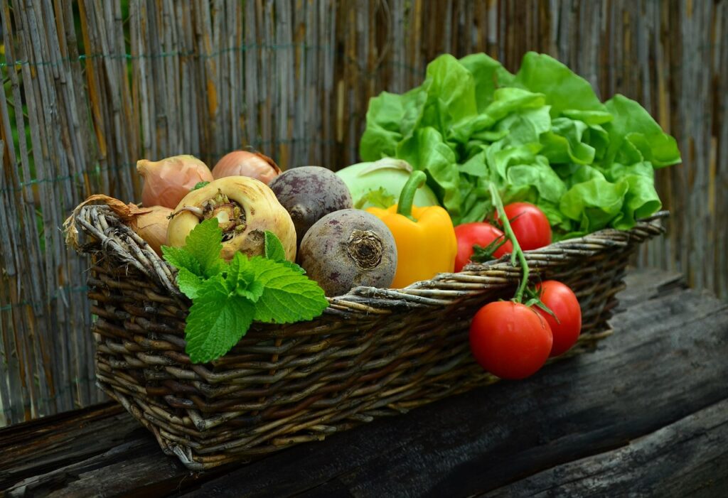 Healthy food.. WellTechie