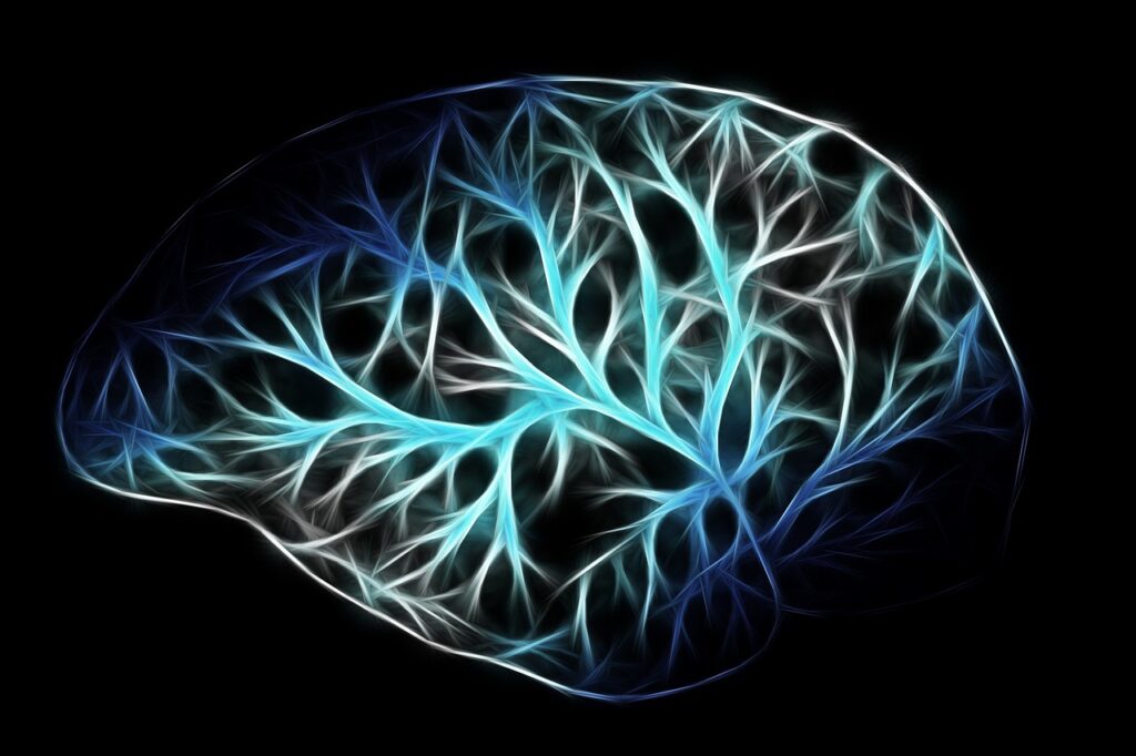 Brain. Welltechie