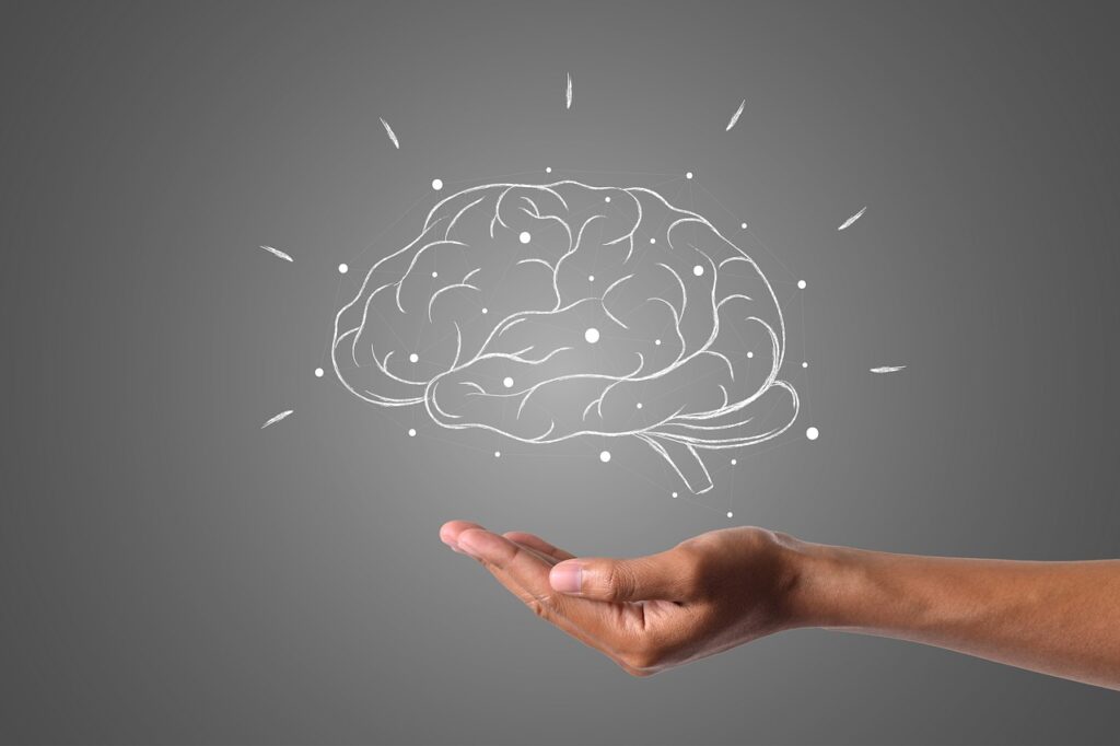 brain 4961452 1280