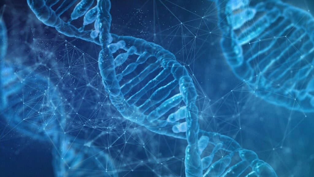 Cells. Welltechie