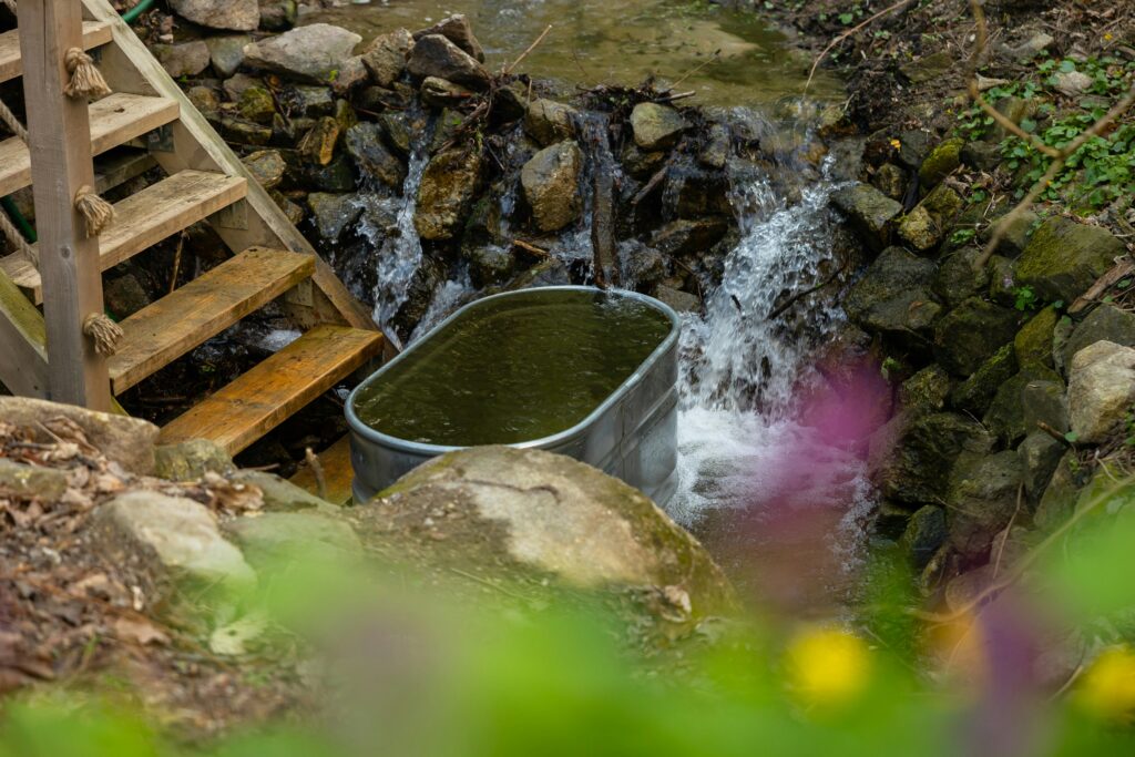 Cold bath. Welltechie