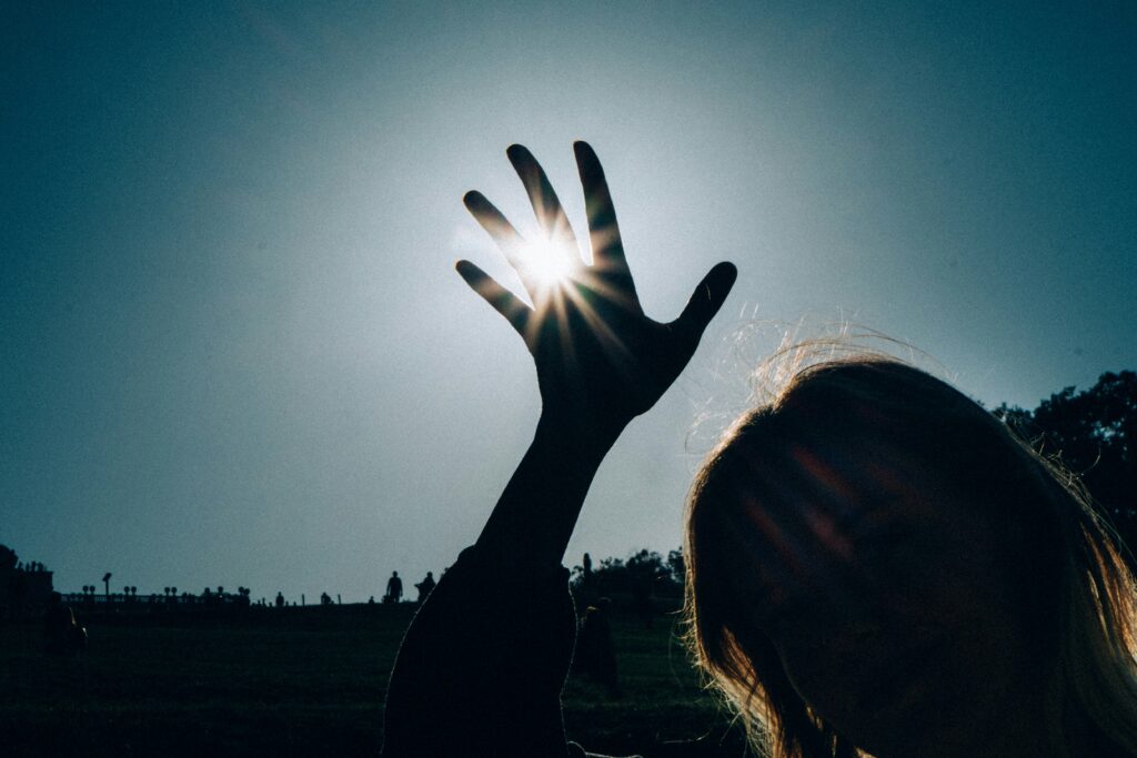 nick shandra ow9fudw6axa unsplash