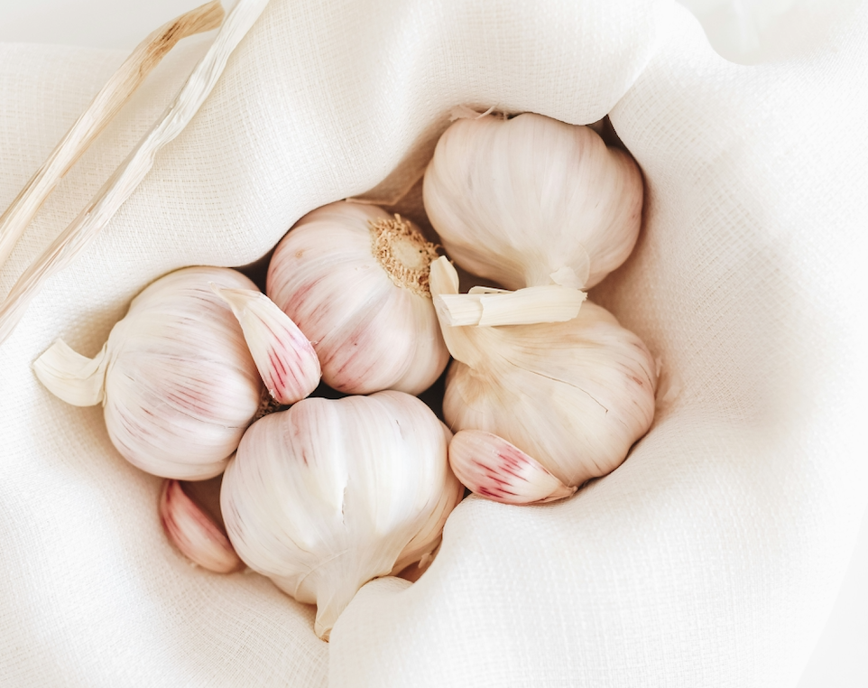 Gut Health. Welltechie