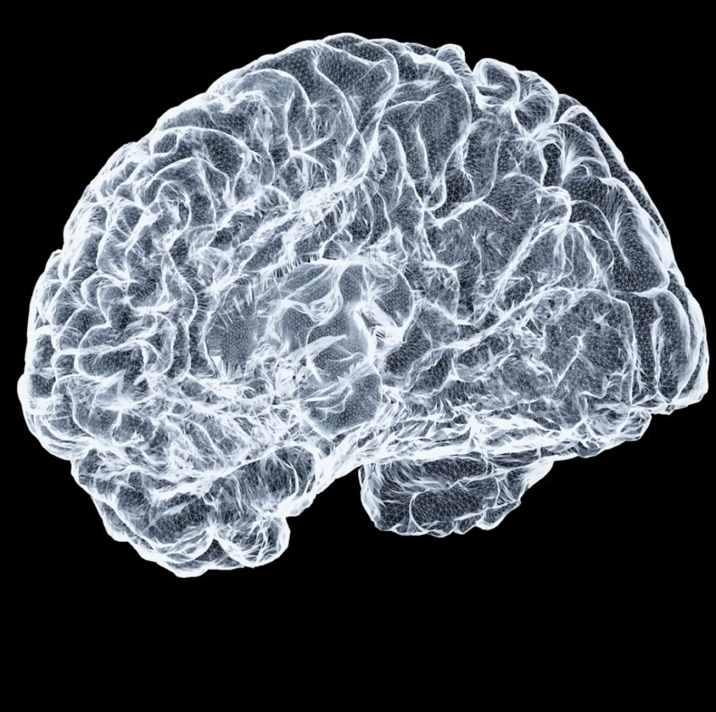 screen shot 2025 10 27 at 8.01.23 am